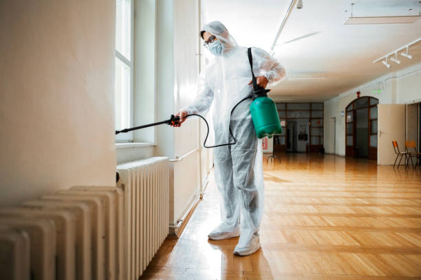 Best Pest Exclusion Services  in Capitol View, SC